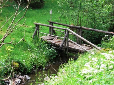 Holiday house Ferienhaus im Thüringer Wald - Features photo 29