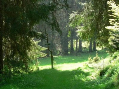 Holiday house Peaceful Forest Getaway - Environment photo 28