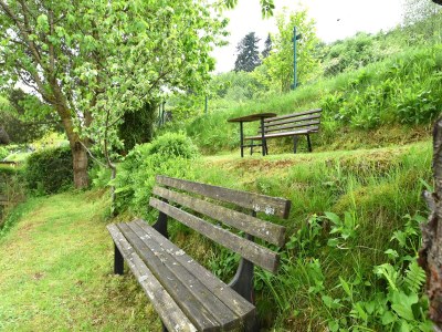 Holiday house Ruhiger Kurzurlaub in der Nähe von Ilmenau - Outdoor photo 8