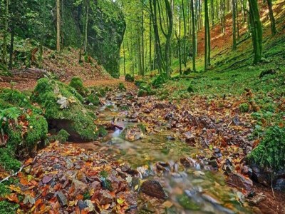 Apartment Apartment Near Thuringian Forest - Environment photo 40