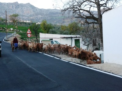 Holiday house Villa in Andalusia with Stunning Views - Environment photo 22