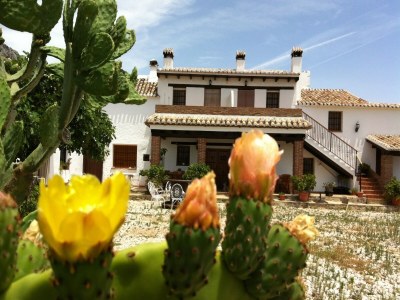 Holiday house Ruhiges Ferienhaus an der Costa del Sol - Outdoor photo 13
