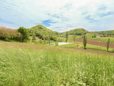 Holiday house Cottage in Wine Country - Environment photo 43