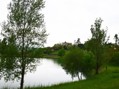 Holiday house Cottage in Wine Country - Environment photo 51
