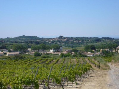 Villa Villa in Campagnan mit Pool und Weinbergblick - Environment photo 37