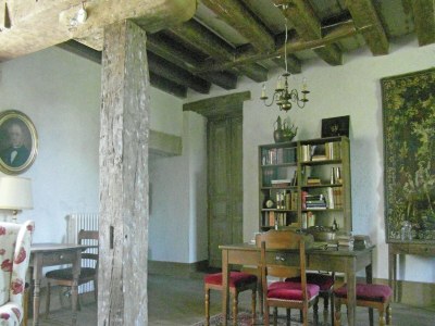 Castle Schloss in Le Veurdre am Wald und Fluss - Features photo 15