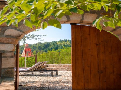 Holiday house Steinvilla mit Panoramablick - Features photo 31