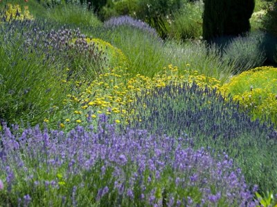 Holiday house Hilltop Stay near Beaulieu - Environment photo 26