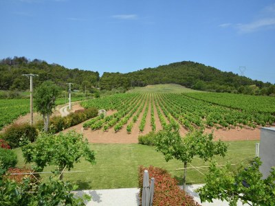 Villa Bauernhaus in Languedoc mit Pool und Weinbergen - Outdoor photo 9