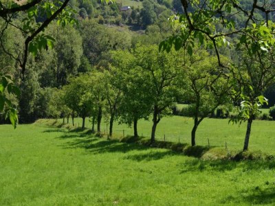 Holiday house Holiday Home in Muret near Château Colombier - Environment photo 33