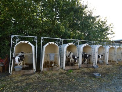 Holiday house Seaside Stay in Saint-Clément - Environment photo 27