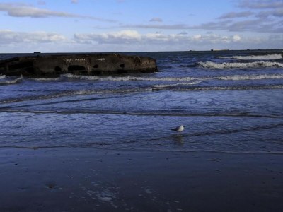 Holiday house Seaside Stay in Saint-Clément - Environment photo 33