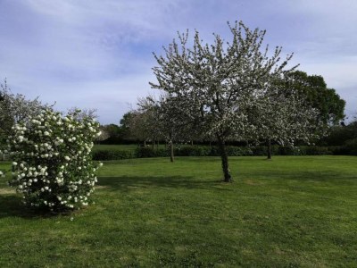 Cottage Eleganter Rückzugsort in der Normandie - Environment photo 33