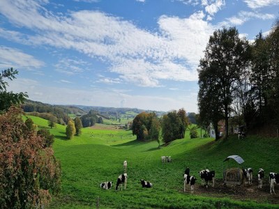 Cottage Hilltop Haven in Parlan - Outdoor photo 4
