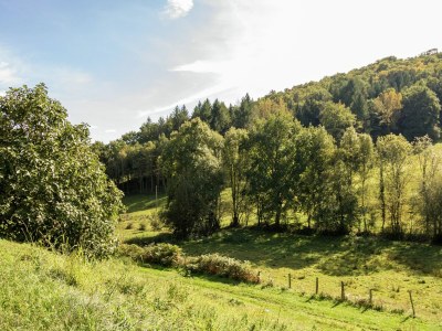 Villa Villa with Pool & Views in Sérilhac - Outdoor photo 7