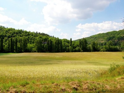 Holiday house Haus auf einem Hügel mit Talblick - Environment photo 19