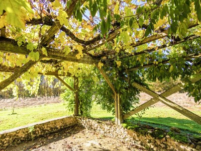 Holiday house Tranquil Escape in Cendrieux - Outdoor photo 2