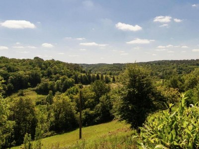 Holiday house Ferienhaus in Bourgnac mit Whirlpool - Environment photo 24