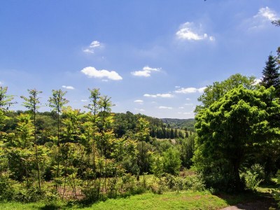 Cottage Ferienhaus in Bourgnac mit privatem Pool - Outdoor photo 8