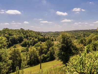 Cottage Ferienhaus in Bourgnac mit privatem Pool - Outdoor photo 9