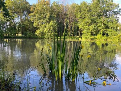 Holiday house Tranquil Escape in Dordogne - Environment photo 30