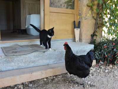 Holiday house Tranquil Escape in Dordogne - Outdoor photo 38