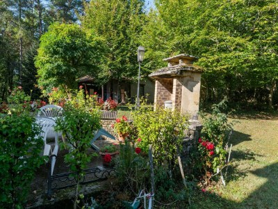 Holiday house Cosy holiday home with garden - Outdoor photo 12