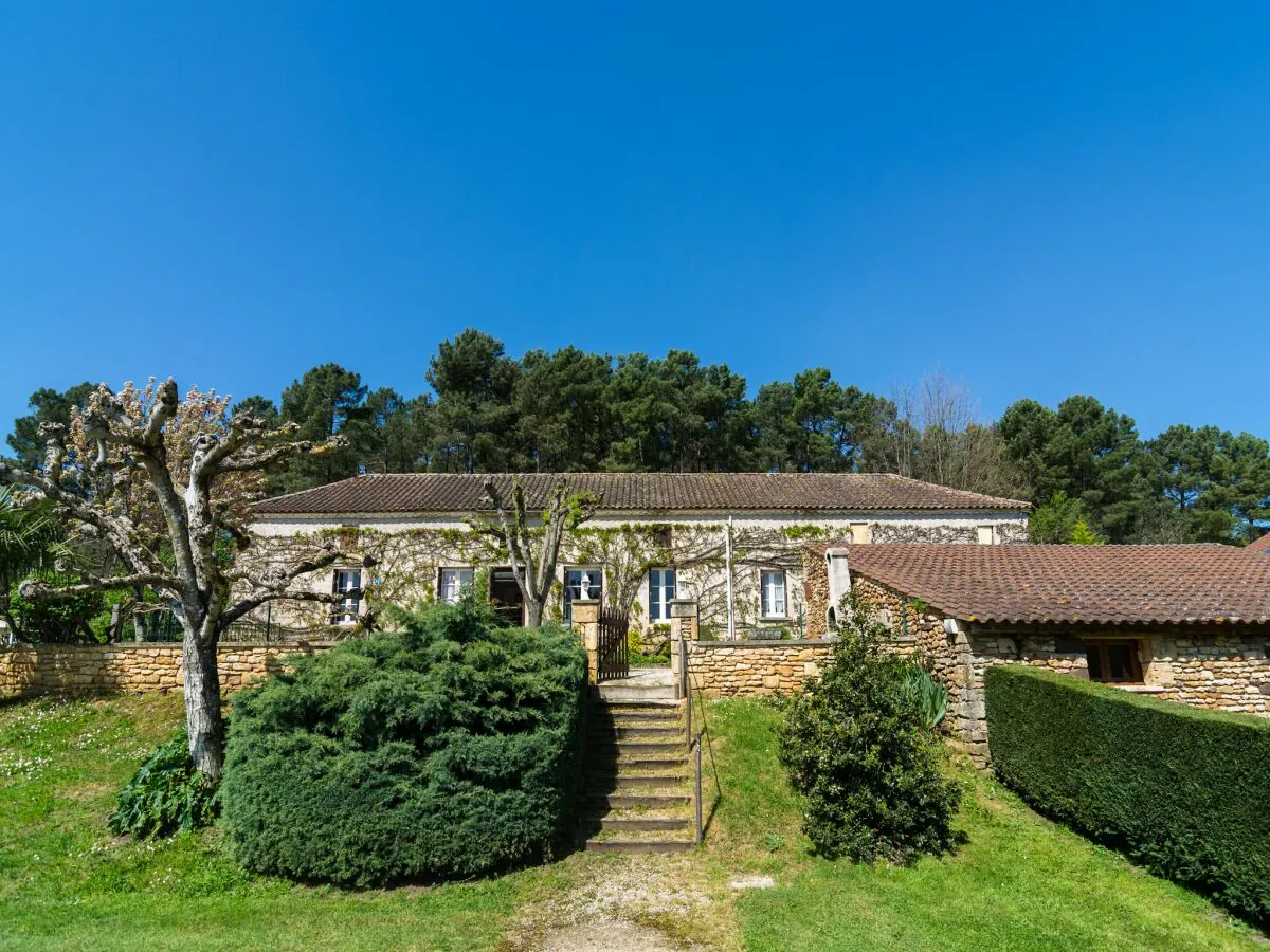 Holiday house Forest View Home in Loubejac - Outdoor photo 2