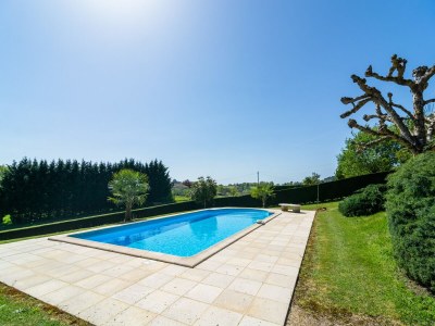 Holiday house Forest View Home in Loubejac - Outdoor photo 6