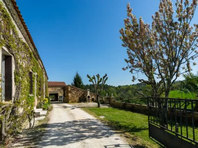 Holiday house Forest View Home in Loubejac - Outdoor photo 8