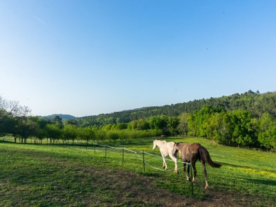 Holiday house Mazeyrolles Waldflucht - Outdoor photo 4