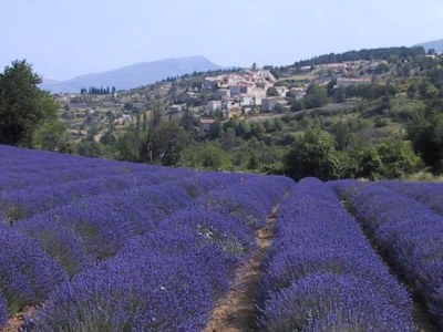Apartment Cycling Escape in Montbrun - Environment photo 30