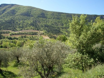 Apartment Cycling Escape in Montbrun - Environment photo 31