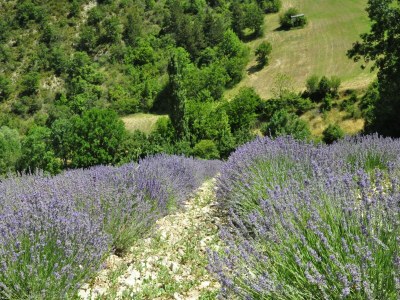 Villa Villa in Frankreich mit Pool und Weinbergen - Environment photo 34