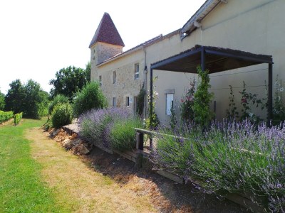 Holiday house Schönes Ferienhaus mit Swimmingpool - Outdoor photo 7