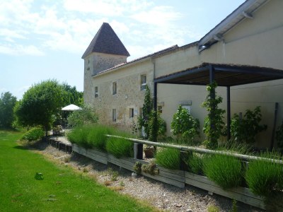 Holiday house Schönes Ferienhaus mit Swimmingpool - Features photo 48