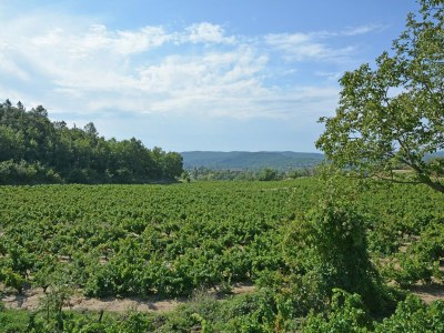 Villa Wunderschönes Bauernhaus mit Pool und Garten - Environment photo 31