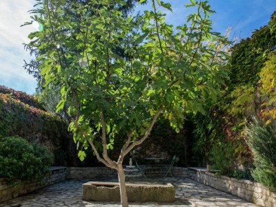 Holiday house Old wine storehouse with terrace and garden - Outdoor photo 8