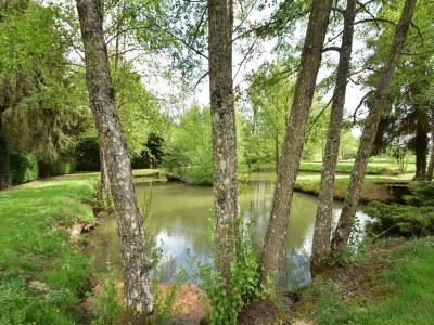 Holiday house Charming holiday home with pool and pond - Outdoor photo 11