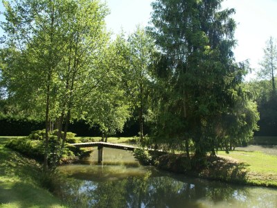 Holiday house Charming holiday home with pool and pond - Environment photo 33