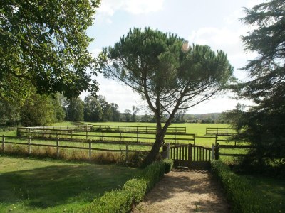 Holiday house Riverside Hideaway in Cinais - Outdoor photo 13