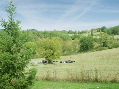 Holiday house Familienurlaub in Thédirac - Environment photo 30