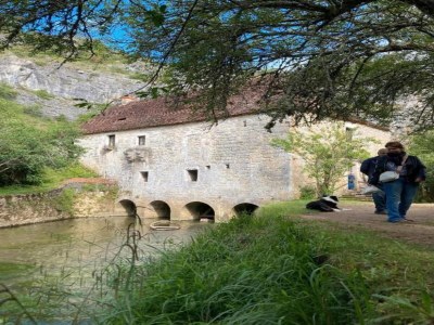 Holiday house Cahors Landsitz - Environment photo 29