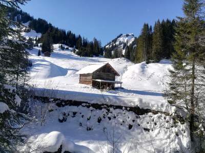 Holiday apartment House Josefa im Allgäu - Outdoor photo 13