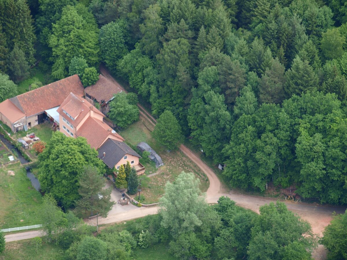 Holiday house Forest Retreat in Vosges - Outdoor photo 3