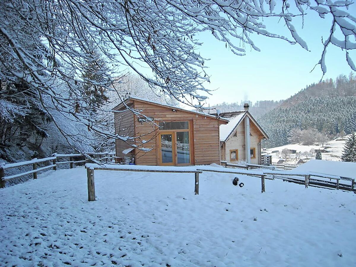 Holiday house Holiday Home in Walscheid near Forest & Lakes - Outdoor photo 5