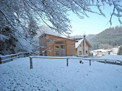 Holiday house Holiday Home in Walscheid near Forest & Lakes - Outdoor photo 5