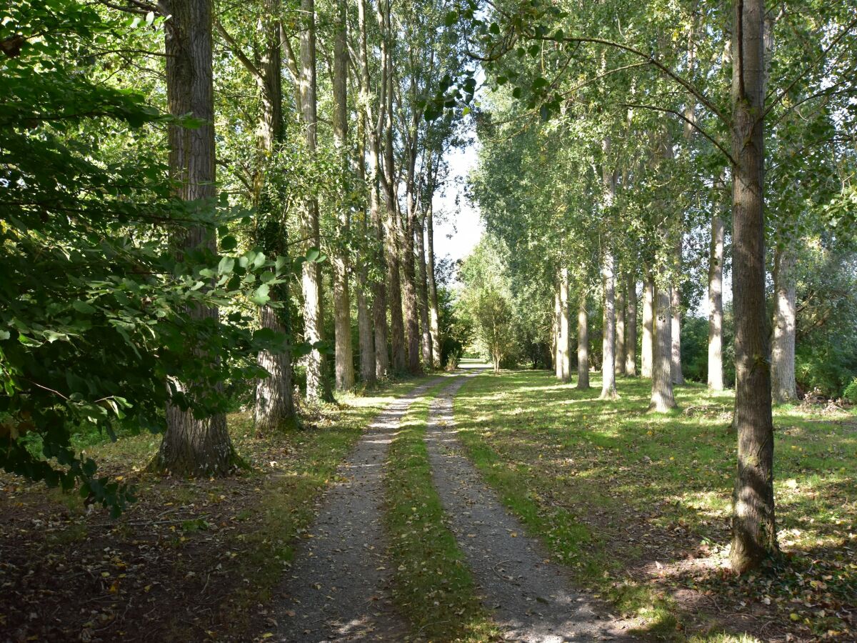 Holiday house Holiday Home in Saint-Omer near Lake & Forest - Outdoor photo 5