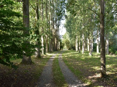 Holiday house Holiday Home in Saint-Omer near Lake & Forest - Outdoor photo 5