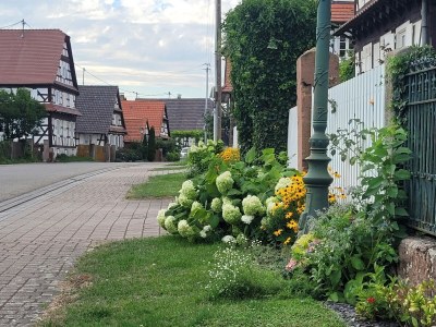 Holiday house Holiday Home Alsace near Vosges Nature Park - Environment photo 37